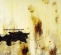 Nine Inch Nails The Downward Spiral Формат: Audio CD (Jewel Case) Дистрибьютор: Interscope Records Лицензионные товары Характеристики аудионосителей 1994 г Альбом инфо 5896f.